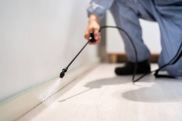 Licensed Pest Control service in Tyler, TX - Show Me Pest Control